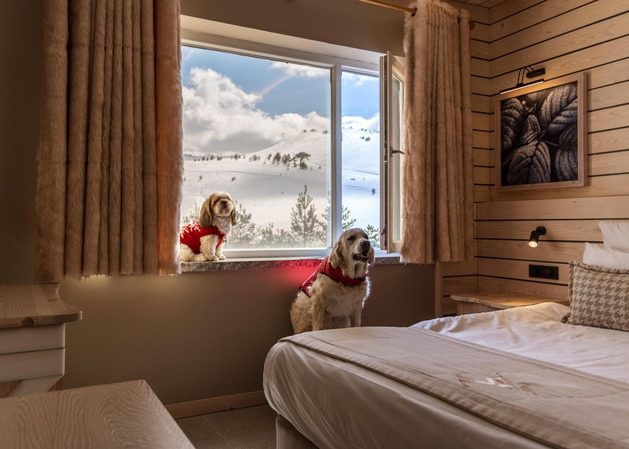 Kartal Hotel Kartalkaya 외부 사진